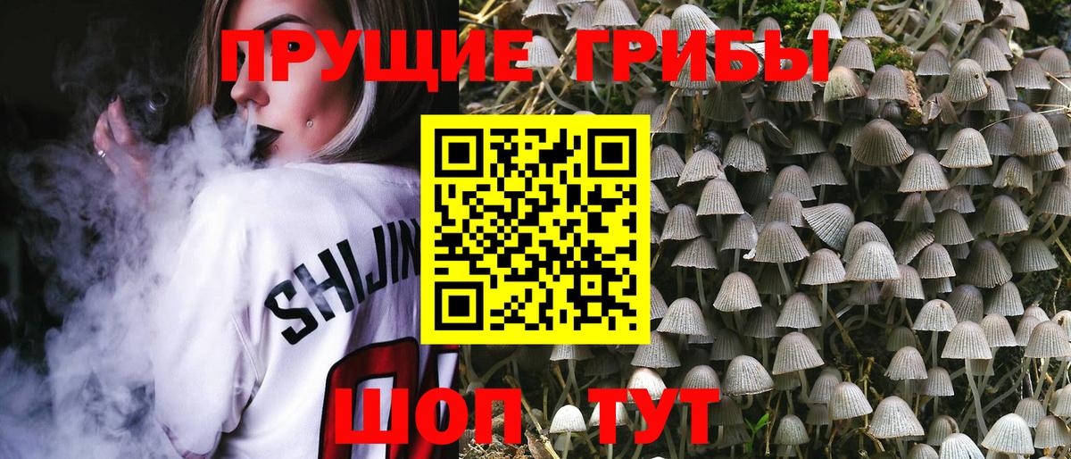 Псилоцибиновые грибы мицелий Когалым