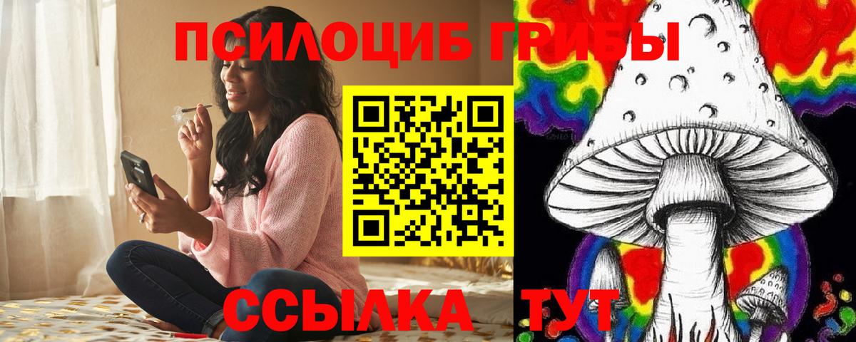 Когалым  купить наркотик  Вход с VPN  Псилоцибиновые грибы Cubensis 